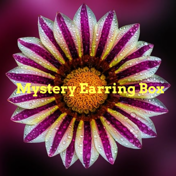 Mystery Earring Box